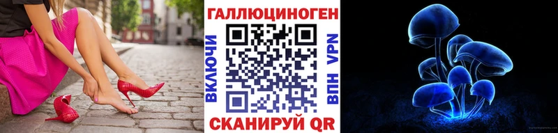 Галлюциногенные грибы Psilocybe  Южно-Сахалинск 